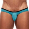 Gregg Homme Voyeur Brief 100603 -Freshpair Lingerie Store 100603 07 close front