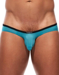 Gregg Homme Voyeur Brief 100603
