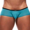 Gregg Homme Voyeur Trunk 100605 -Freshpair Lingerie Store 100605 07 close front