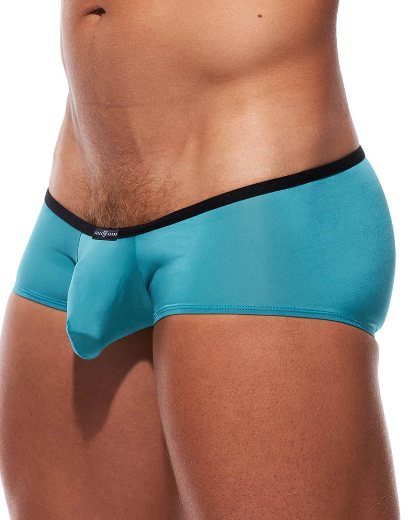 Gregg Homme Voyeur Trunk 100605 5 Gregg Homme Voyeur Trunk 100605 - Image 3