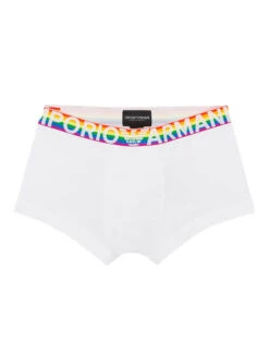 Emporio Armani Big Logo Knit Trunk 111389-1P513 -Freshpair Lingerie Store 111389 1P513 00010 D