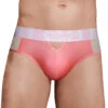 Doreanse Window Thong 1224 -Freshpair Lingerie Store 1224 PNK