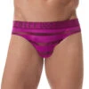 Gregg Homme Encore Brief 160603 2 Gregg Homme Encore Brief 160603 -Freshpair Lingerie Store 160603 MAGENTA far front 1