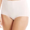 Bali Full-Cut Fit Stretch Brief Panty DF2324 -Freshpair Lingerie Store 196981