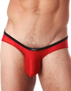 Gregg Homme Voyeur Thong 100604