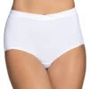 Vanity Fair Beyond Comfort Silky Stretch Brief 13290
