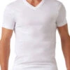 2xist Men's Pima Cotton V-Neck T-Shirt 041010 -Freshpair Lingerie Store 261232