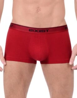 2xist 3-Pack Stretch No-Show Trunk 021333 -Freshpair Lingerie Store 268879 47b788ff 58ea 4e2e a0c6 10d8bd77ef8a