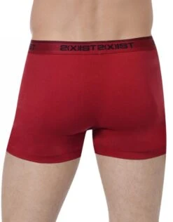 2xist 3-Pack Stretch Boxer Brief 021304 21 2xist 3-Pack Stretch Boxer Brief 021304 -Freshpair Lingerie Store 273728 13a9226e 60e7 490b 8a6c 8310d772f7d0