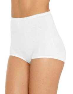 Vanity Fair 3-Pack Lollipop Full Figure Brief 15861 -Freshpair Lingerie Store 394910