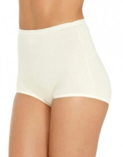 Vanity Fair 3-Pack Lollipop Full Figure Brief 15861 -Freshpair Lingerie Store 394937