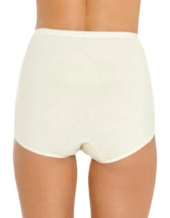 Vanity Fair 3-Pack Lollipop Full Figure Brief 15861 -Freshpair Lingerie Store 394946