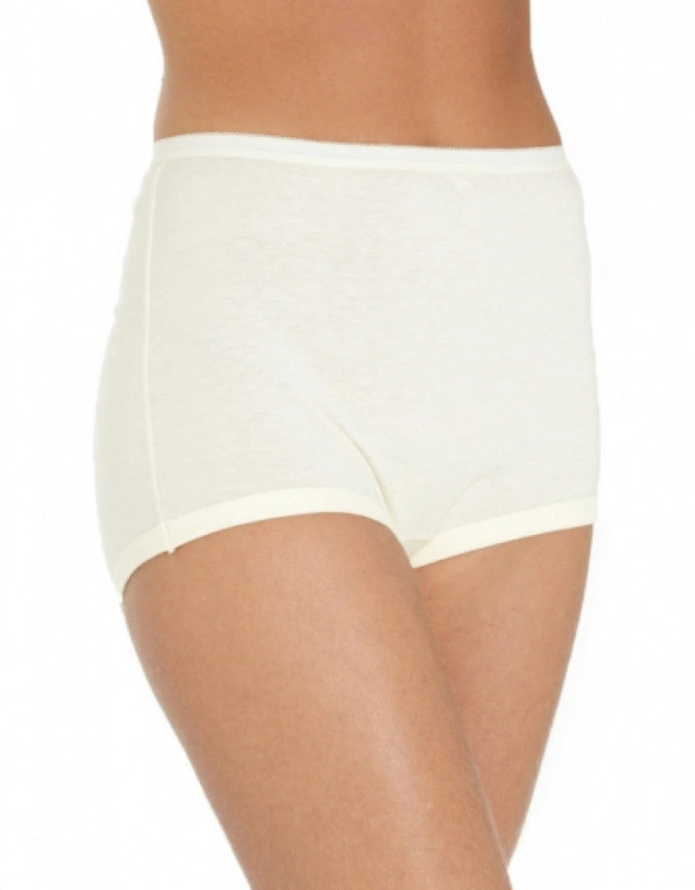 Vanity Fair 3-Pack Lollipop Full Figure Cuffed Legband Brief 15867 3 Vanity Fair 3-Pack Lollipop Full Figure Cuffed Legband Brief 15867