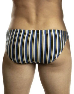 Jack Adams Bikini Brief 401-249 -Freshpair Lingerie Store 401 249BikiniBriefFulcrumBlueStripeBack 684x1026 057569d6 359e 4930 8fe5 50b980606ecd