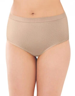 Bali Comfort Revolution Seamless Brief Panty DF803J -Freshpair Lingerie Store 438262
