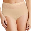 Bali Beautifully Confident Light Leak Protection Panty DFLLB1 -Freshpair Lingerie Store Bali DFLLB1 Taupe B