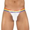 ErgoWear Max XV Pride Bikini EW1115 -Freshpair Lingerie Store EW1115 1