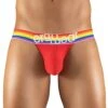 Ergo Wear Max XV Pride Jockstrap EW118 2 Ergo Wear Max XV Pride Jockstrap EW118 -Freshpair Lingerie Store EW1118 1