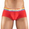 ErgoWear Max XV Pride Boxer Brief EW1121 -Freshpair Lingerie Store EW1121 1