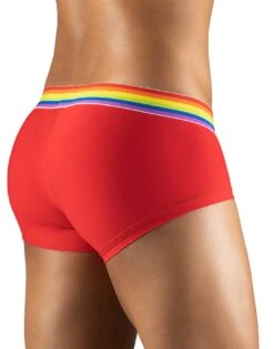 ErgoWear Max XV Pride Boxer Brief EW1121 -Freshpair Lingerie Store EW1121 3