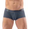 Ergo Wear Max XX Trunk EW1289 -Freshpair Lingerie Store ErgoWear EW1289 DarkGray 1