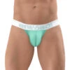 Ergo Wear Max SE Thong EW1311 -Freshpair Lingerie Store ErgoWear EW1311 Mint 1