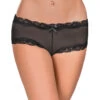 Exposed Mesh 3-Pack Panties G3PK112 -Freshpair Lingerie Store Exposed G3PK112 Black B 2