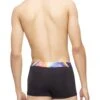 Calvin Klein Reimagined Heritage Pride Micro Low Rise Trunk NB3156 -Freshpair Lingerie Store NB3156 250 alternate1