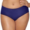 Playtex Incredibly Smooth Cheeky Hipster PSCHHL 2 Playtex Incredibly Smooth Cheeky Hipster PSCHHL -Freshpair Lingerie Store Playtex PSCHHL Violet Stone B