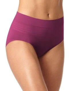 Warner's No Pinching No Problems Seamless Brief Panty RS1501P 23 Warner's No Pinching No Problems Seamless Brief Panty RS1501P -Freshpair Lingerie Store WA RS1501P CBJ 2434c14a aa90 45fc 82cc 40e3acf9c082