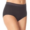 Warner's Breathe Freely Brief Panty With Lace RS4901P -Freshpair Lingerie Store WA RS4901P UB