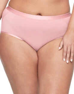 Warner's Easy Does It Modal Modern Brief RS9001P -Freshpair Lingerie Store WA RS9001P 690BPK 3000x3000 1