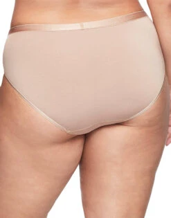 Warner's Easy Does It Modal Hi Cut Brief RT9001P -Freshpair Lingerie Store WA RT9001P 2007N2 back 3000x3000 1