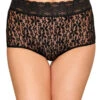 Wacoal Halo Lace Brief 870405 -Freshpair Lingerie Store Wacoal 870405 Black B 1