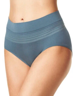 Warner's No Pinching No Problems Seamless Brief Panty RS1501P 26 Warner's No Pinching No Problems Seamless Brief Panty RS1501P -Freshpair Lingerie Store Warner s RS1501P DarkMatter B
