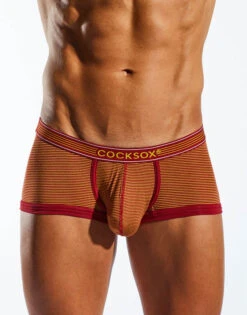 Cocksox Trunk CX68PRO 11 Cocksox Trunk CX68PRO -Freshpair Lingerie Store cx68pro sommelier 2